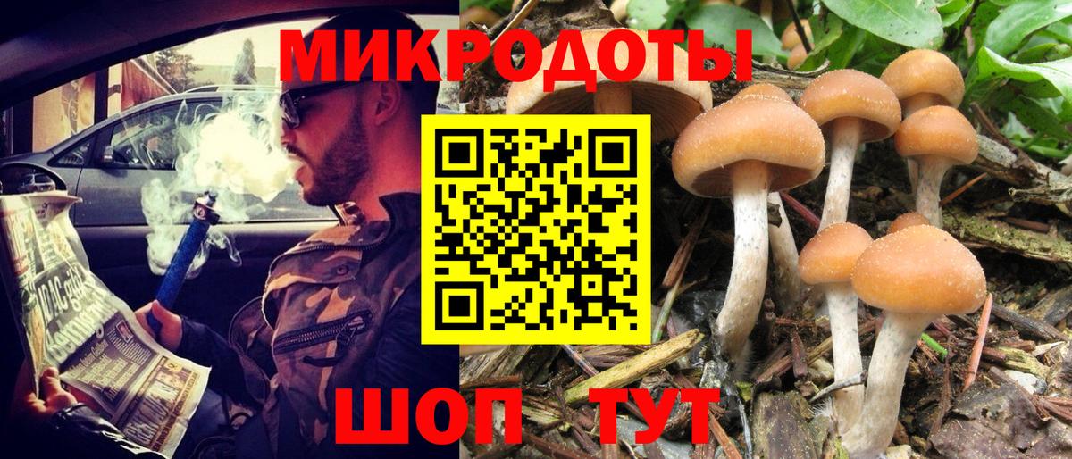 Галлюциногенные грибы MAGIC MUSHROOMS  Вход с VPN  Полевской 